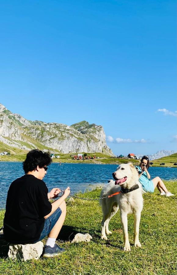 Kapetanovo Jezero Bungalov Bed & Breakfast พอดโกริกา ภายนอก รูปภาพ