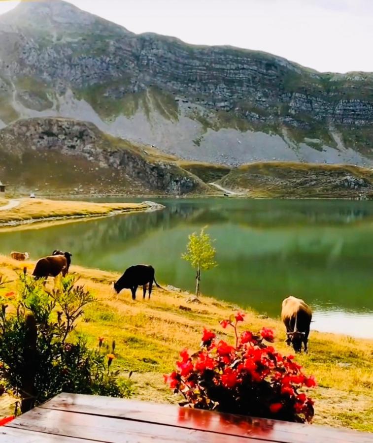 Kapetanovo Jezero Bungalov Bed & Breakfast พอดโกริกา ภายนอก รูปภาพ